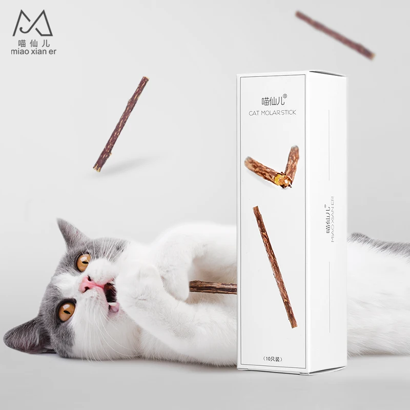 Cat Cleaning Teeth Natural Catnip Pet Cat Molar Toothpaste Stick Matatabi Actinidia Fruit Silvervine Cat Snacks Sticks