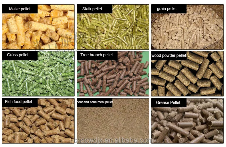 DONGYA Animal feed pellet machine manufactures