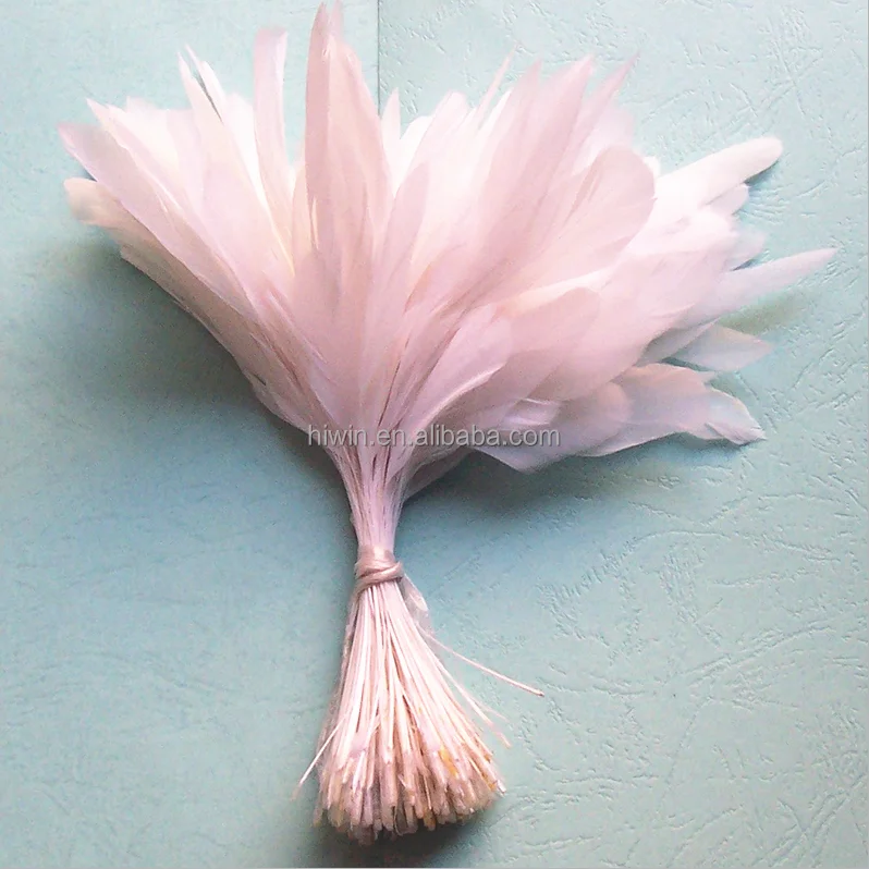 Полосатый пенис перо