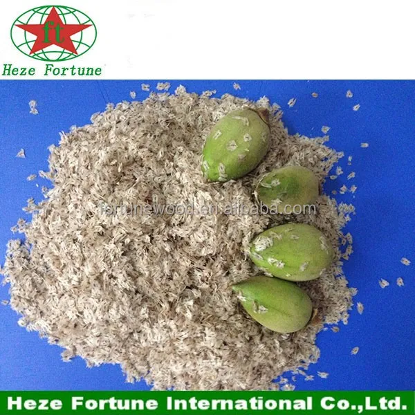 
Fast growing rate paulownia shan tong seeds 