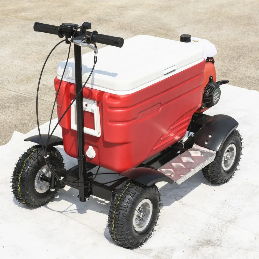China supplier electric cooler cart scooter