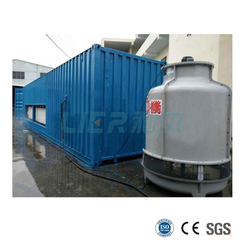 
High quality Automatic Containerized Ice Block Making Machines for Ice Plant 10ton 