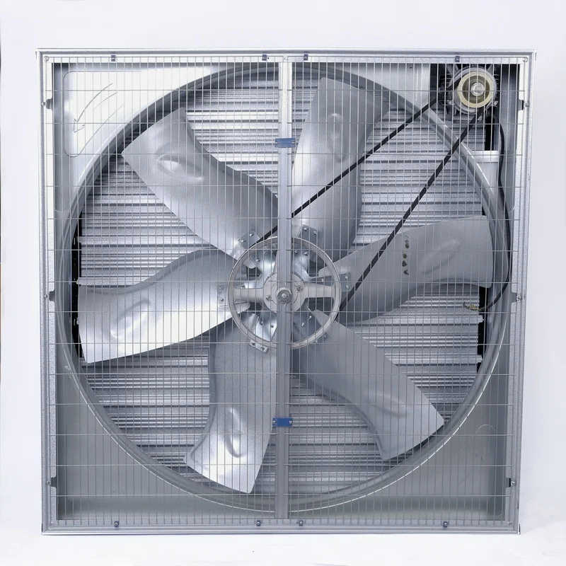 aluminized galvanized sheet/stainless steel 36 inch wall mounted industrial ventilation exhaust fan