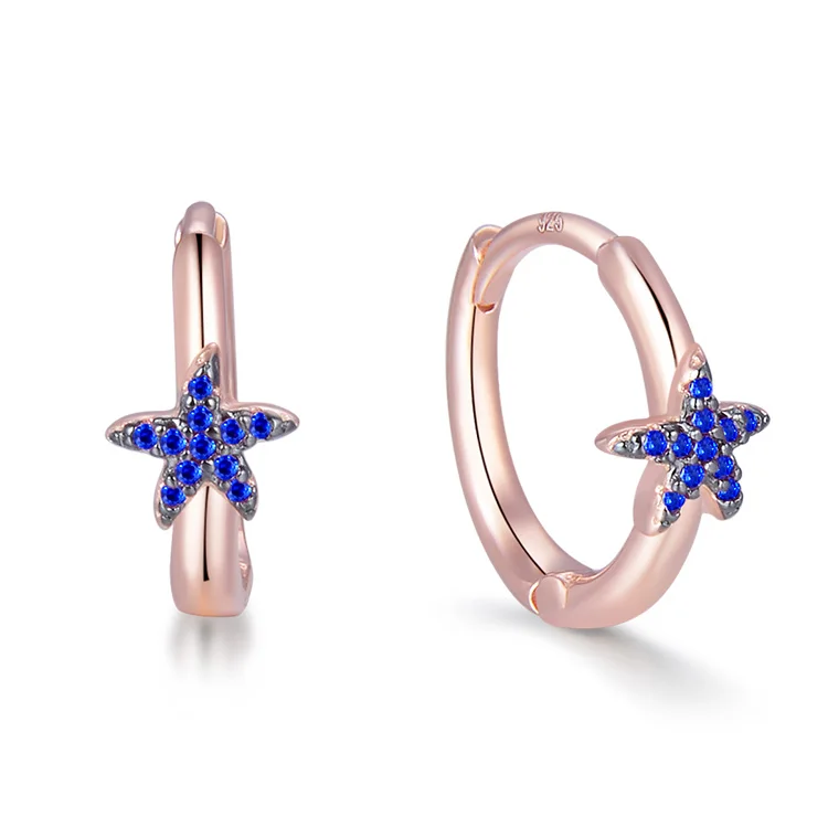 POLIVA Fashionable 925 Sterling Silver CZ Stone Earrings Star Lovisa Fancy Earrings