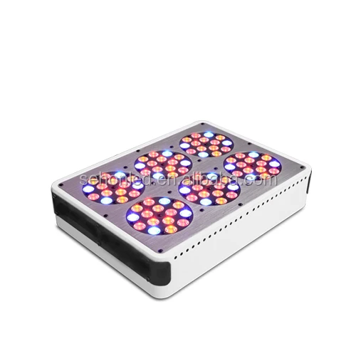 Hydroponics Equipment Tomato Seeds Grow Kit 270W Apollo 6 Led Grow Light