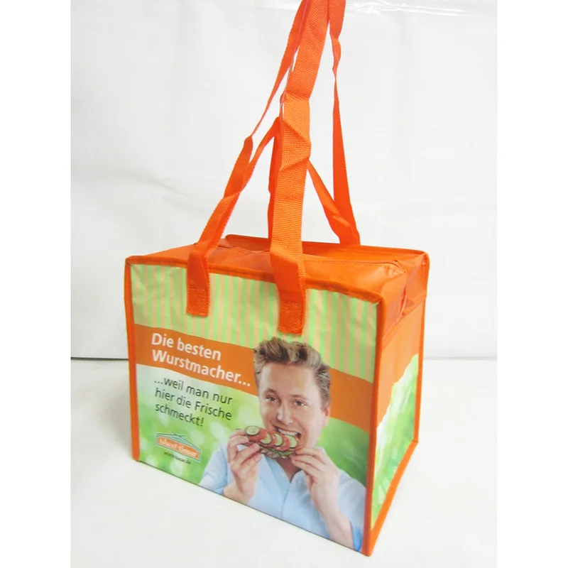 custom insulated thermal cooler bag for frozen food