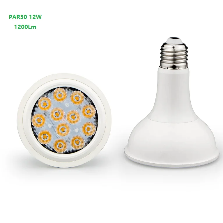 
 Daylighting 110Lm/W 12W E27 SMD PAR30 светодиодная точечная лампа  