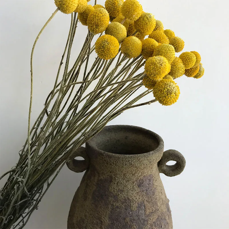 
dried flower collecting dried flower arrangements for walls 