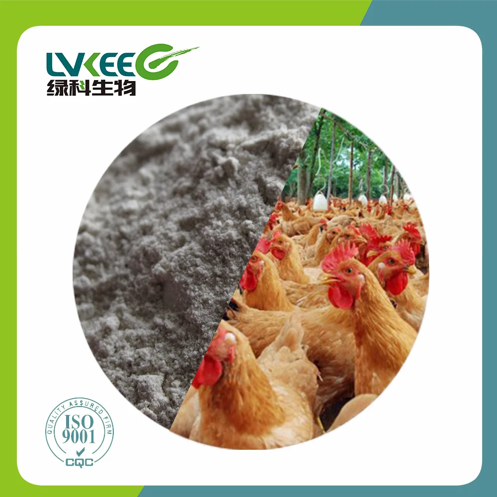 50 billion cfu/g Bacillus Subtilis for animal feed additives suppliers Lvkee
