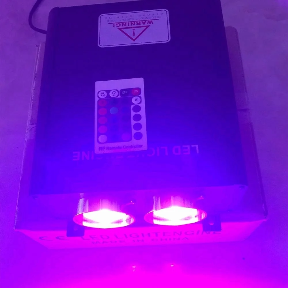 45w double head optical fiber light source,110V/220v input;with remote controller