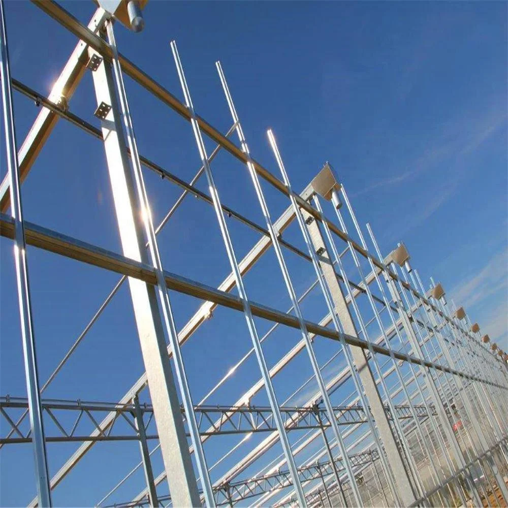 
Natural vents aluminium framing sequoia orchids growing seedling poly tunnel greenhouse steel frame tunnel 