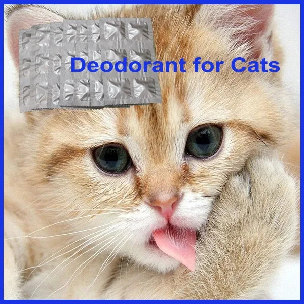 Здоровые и популярные дезодоранты для домашних животных/дезодорирующие средства для удаления запаха в доме кошек и кошек