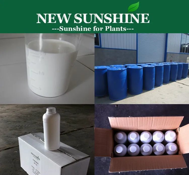 Агрохимический Paclobutrazol 95% TC, 15% WP, 25% SC