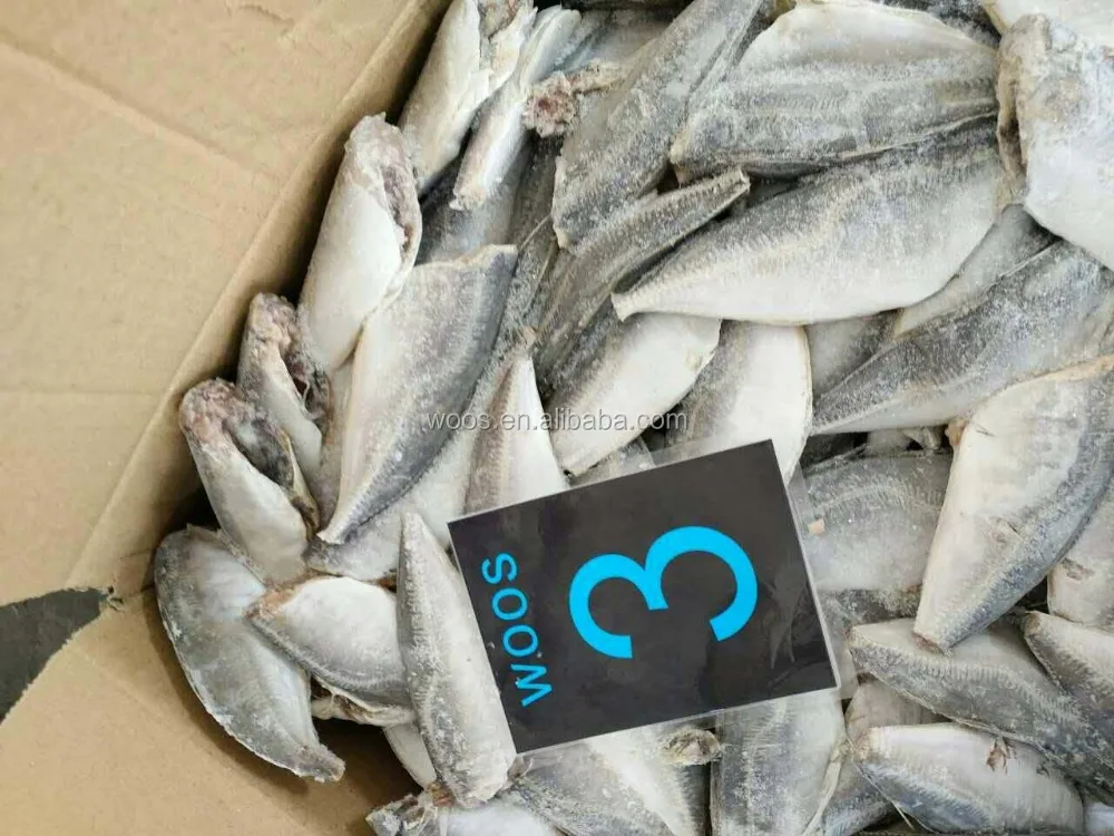 Fresh and Frozen Horse Mackerel Fish, Herring Fish ,Dry Stockfish