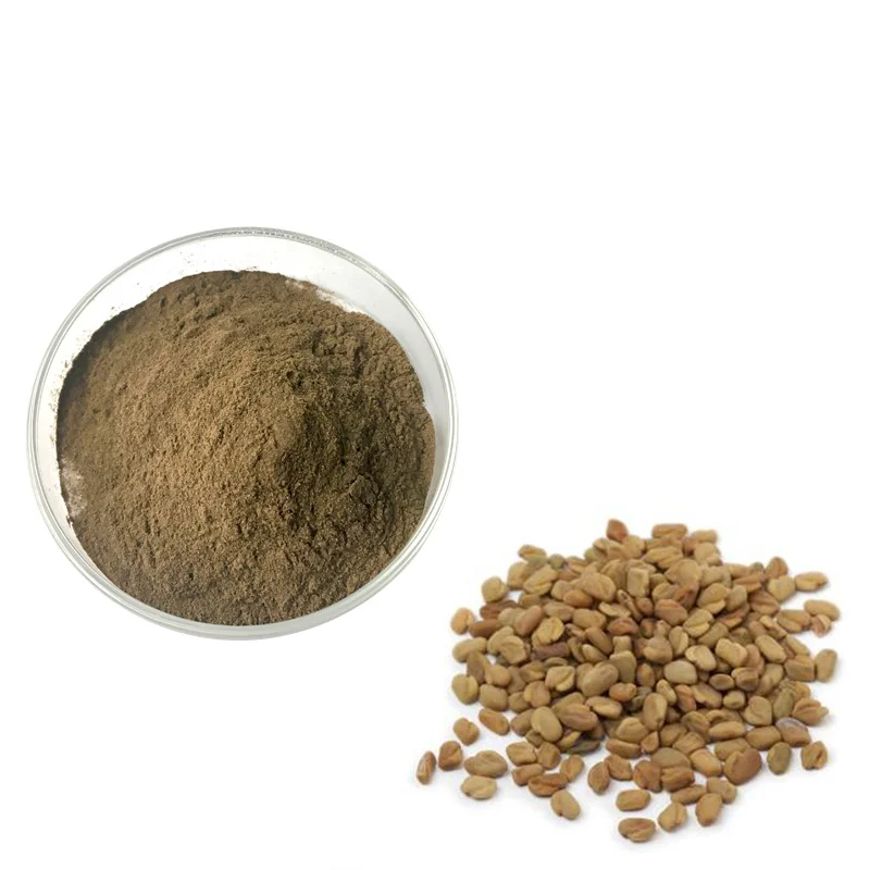 HACCP China supplier hot sale 20% 4-hydroxy isoleucine Common Fenugreek Seed, high quality trigonella foenum-graecum extract