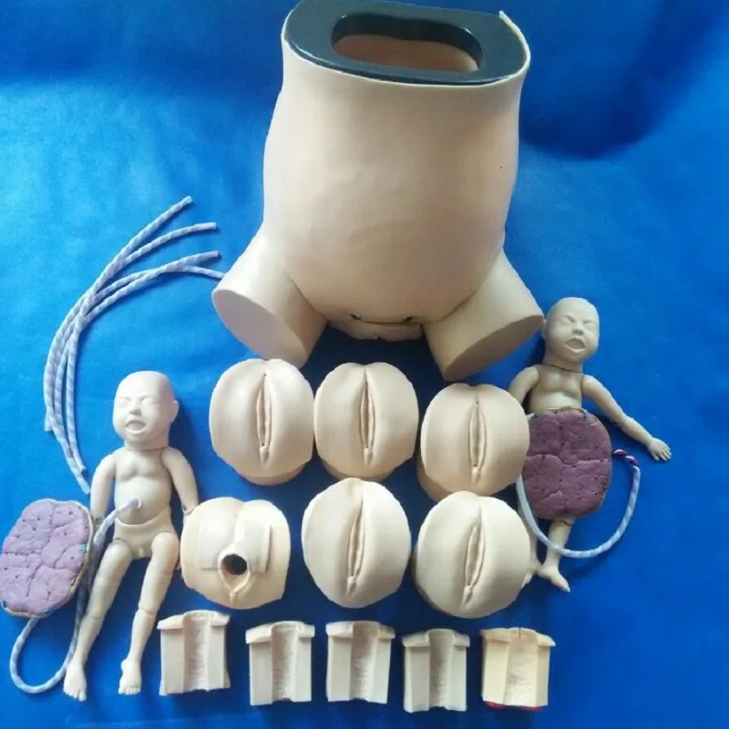 Nursing Training Made In China Midwifery Skills Birth Teaching Model Pregnant Women Simulator