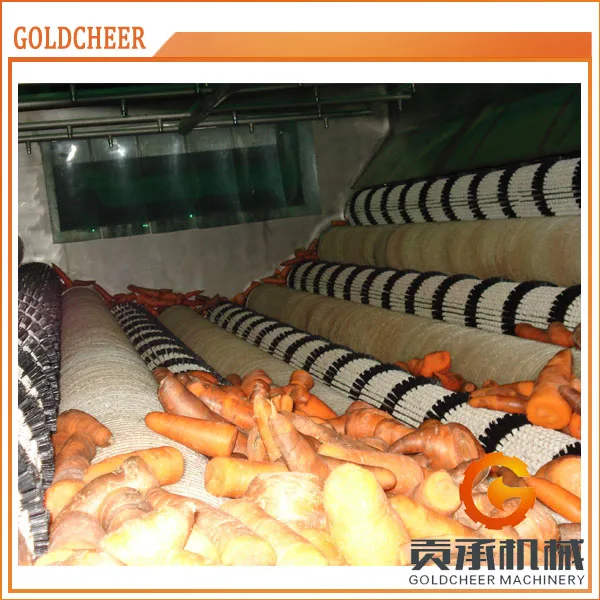 Promotional prices carrot juice production line