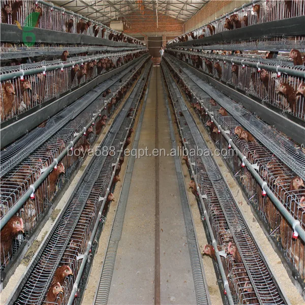 
Производство яиц, клетка для птицы, клетка для батарей от производителя 