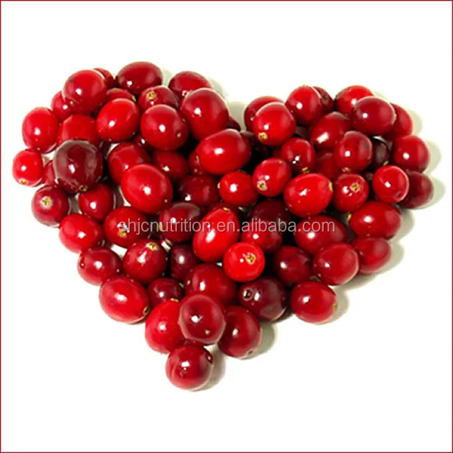 Hot selling High Quality Proanthocyanidins Powder Cranberry Extract, Cranberry powder