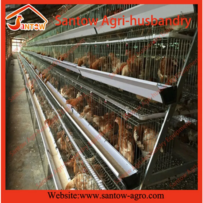 Automatic chicken cages hot galvanized poultry cage cheap price breeder cages birds for layer farm design