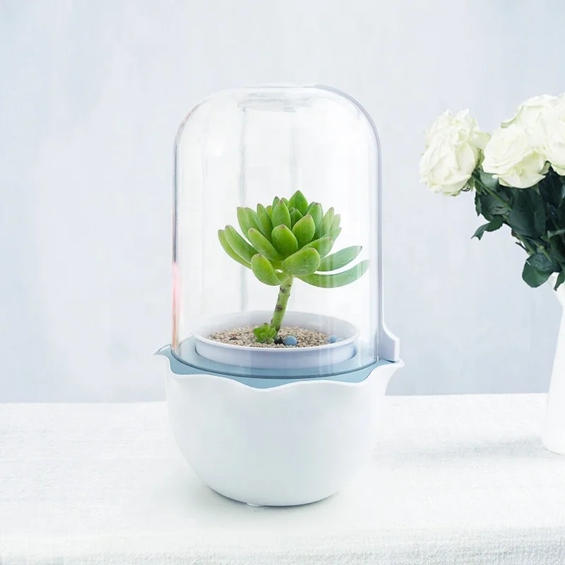 Innovation mini Indoor Smart Garden Succulent hydroponic growing system garden greenhouses pot