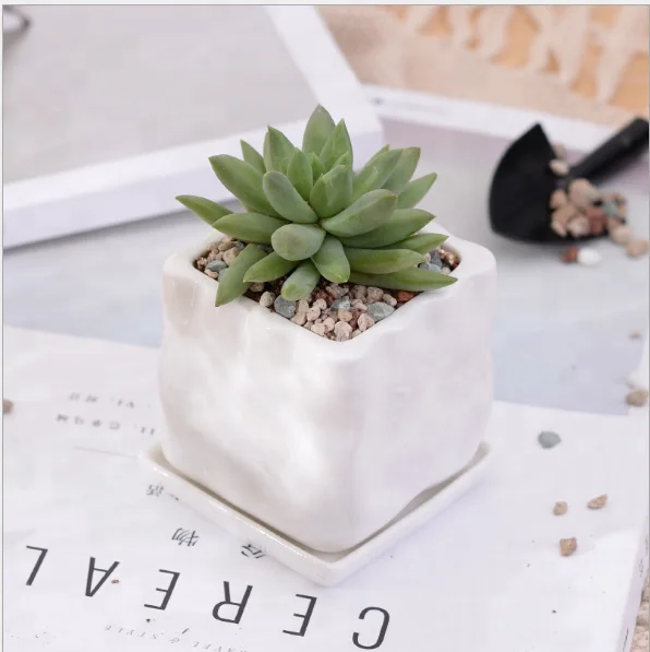 Simple White Creative Succulent Ceramic Stone Pattern Small Trapezoline With Potted Pots