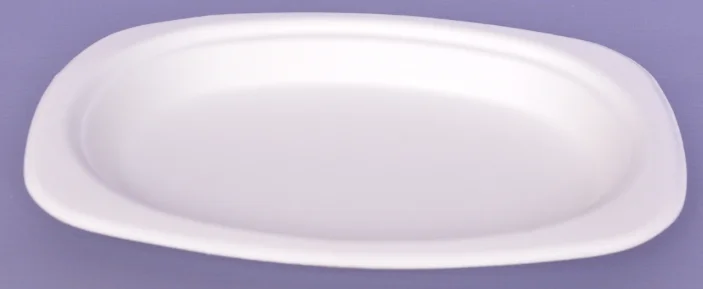 
biodegradable abd disposable tableware 