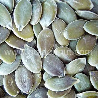Wholesale organic pumpkin seed GWS for edible