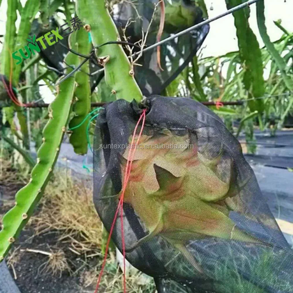 Thailand Garden Plant Fruit Protect Drawstring Net Bag Against Insect Pest Bird