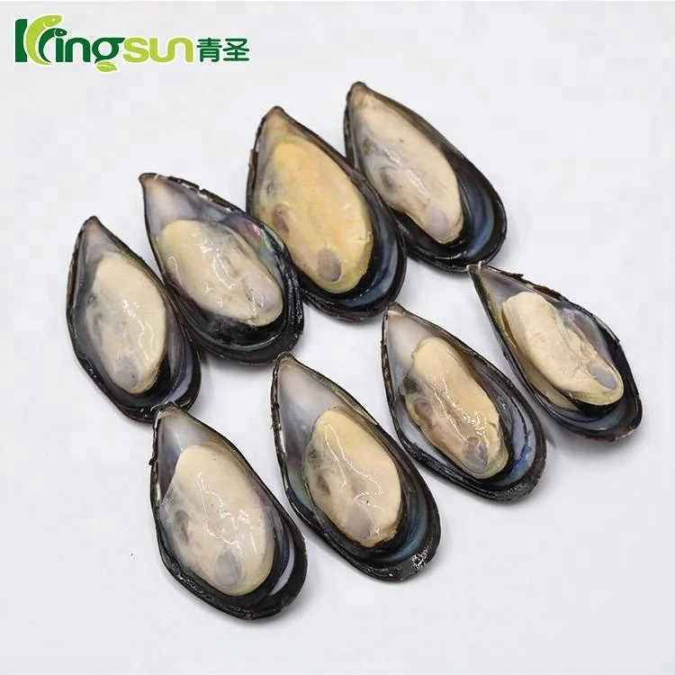 Frozen half shell mussel