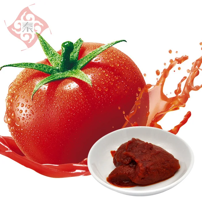 Tasty Delicious Tomato Paste for Restaurant