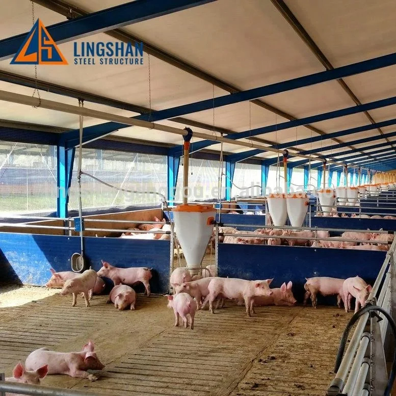 Hot  galvanizing  Steel structure prefabricated Pig farm House Tard Construction Sheds Buildings Design For Sale