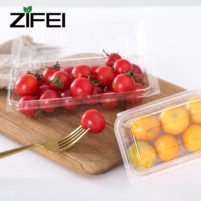 Disposable PET plastic take away Japanese sushi box/sushi tray/food tray