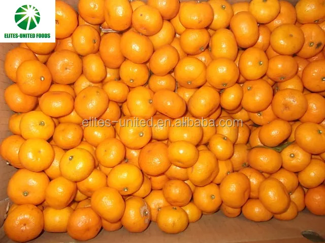 Wholesale new harvest fresh citrus sweet mandarin oranges