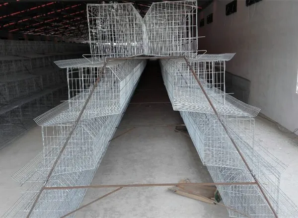 zambia layer poultry farm chicken cage for sale
