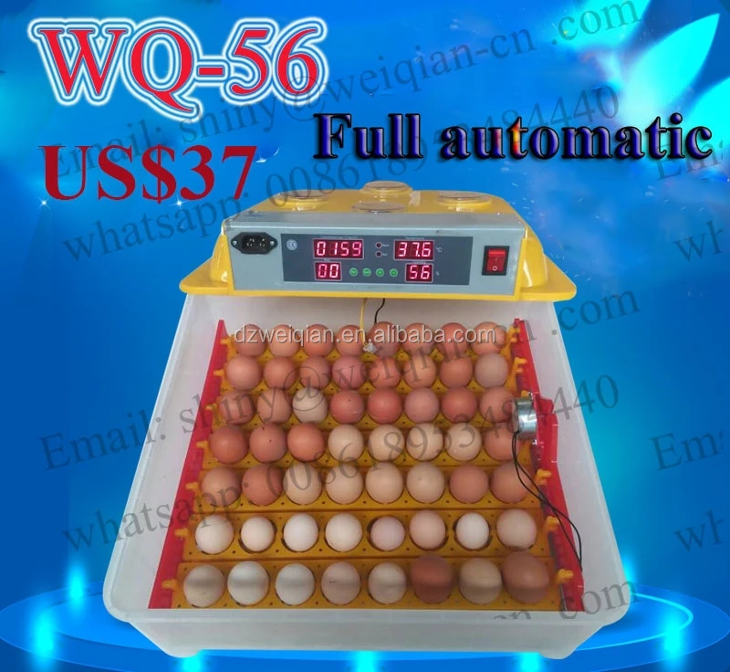 Lahore Пакистан инкубатор шейкер для куриных яиц цена