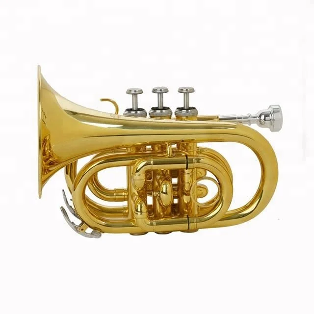 
Accept OEM DSPT-5801 Gold Lacquer Pocket Trumpet 
