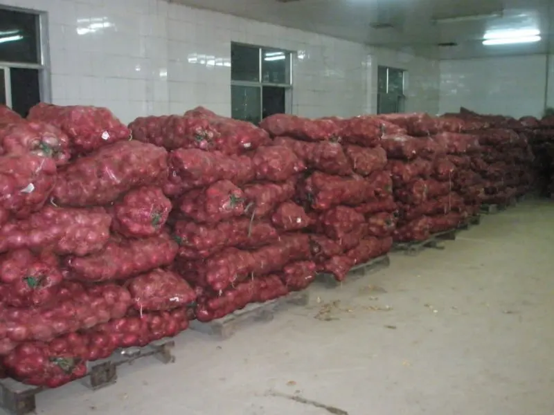 
fresh red onions for sale 