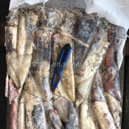 
Sea frozen Giant squid whole round for sales 