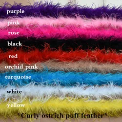 Decorative garment accessory artificial curly ostrich feather 2 Yards in bundle -colored ostrich feathers