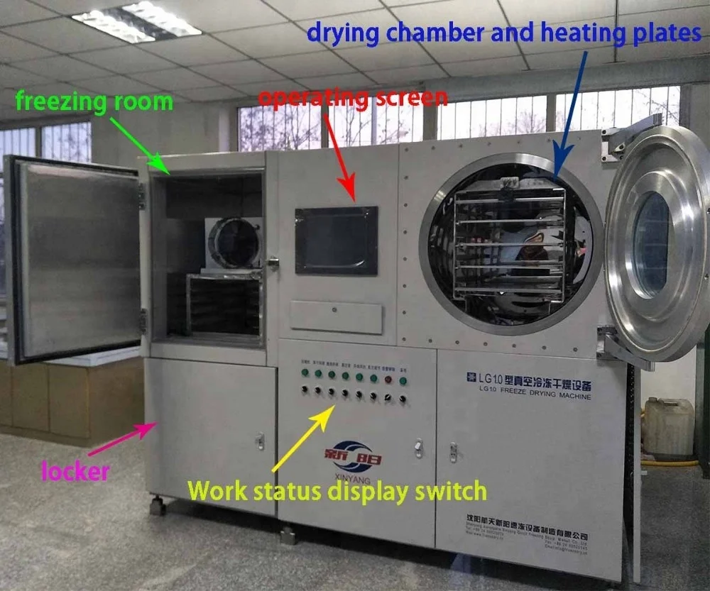 Pilot freeze dryer mini freeze drying machine for research and testing