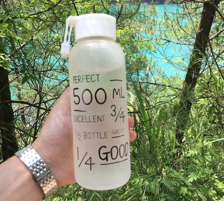 Best Quality My Breakproof Bootl 2 Colors Sports Cycling Camping Readily Space Health Lemon Juice Make 500ml Glass Water Bottle