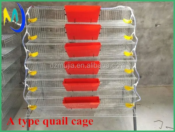 
A type automatic layer quail cages system for sale 