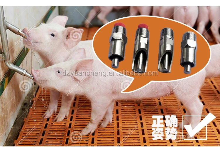 automatic pig nipple drinker stainless steel pig water trough for livestock feeding food feeder