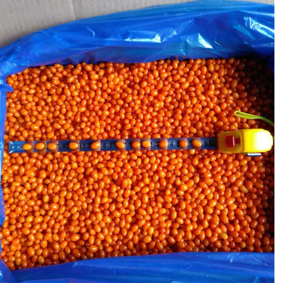 
new season good quality good price Frozen Sea Buckthorn berry IQF Sea Buckthorn berry 