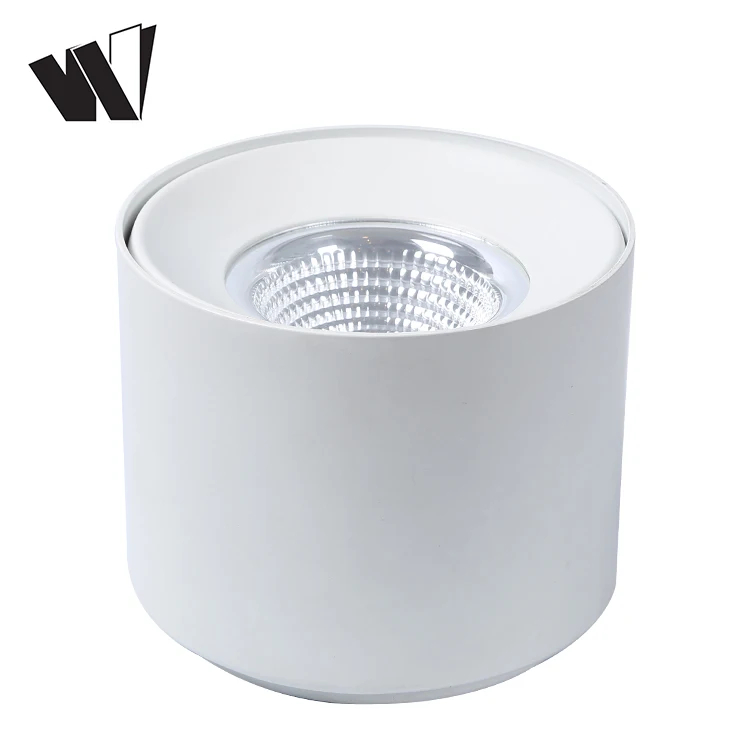 Manufacturer cheap 240 volt ceiling lighting for hotelr COB 6w 9w 12w 15w 20w 24w 30w 36w led lamp