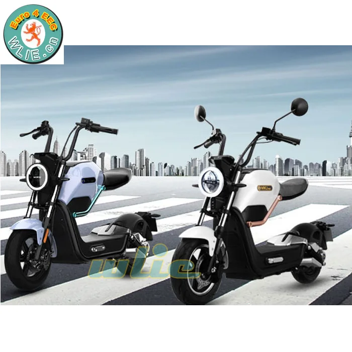 Fashion electric bicycle canada 3000w balance bike scooter Miku Max(Euro-4)