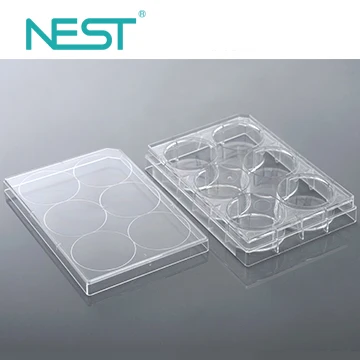 Non- treated 6 well cell culture plate, Individually Packaged in Plastic Bag