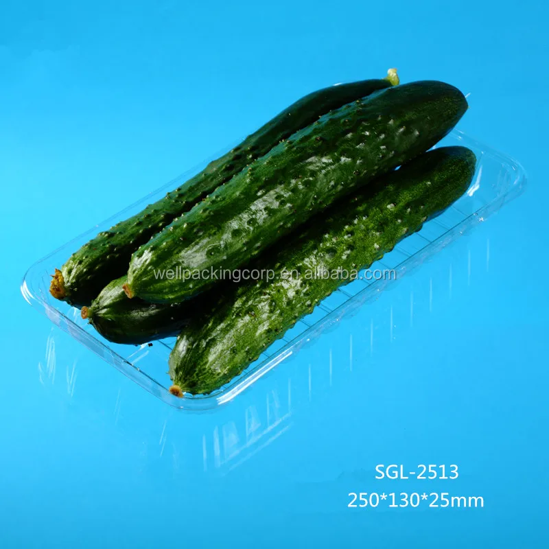 Rectangular Transparent Disposable Plastic Food Packing Tray