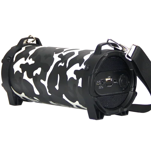 Hot Sale Bluetooth Portable Karaoke Bass Player PA Speakers